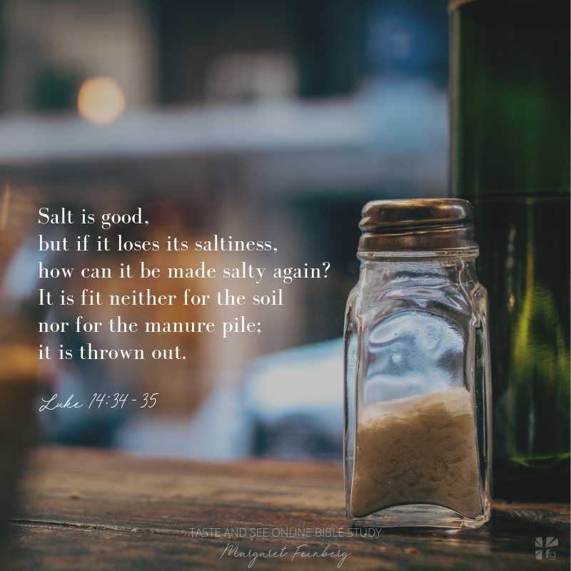 Taste and See Week 4 — Savoring the Salt of the Earth