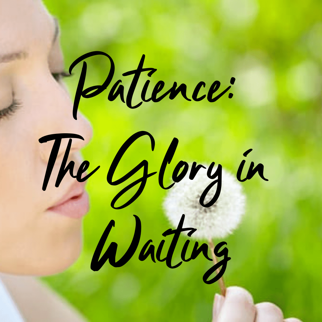 Patience: The Glory in Waiting