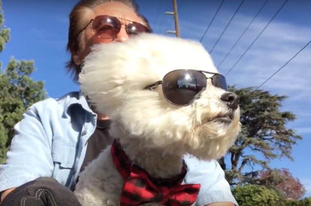 Ray Comfort Introduces The Dog Who Has Helped To Reach Millions For Christ