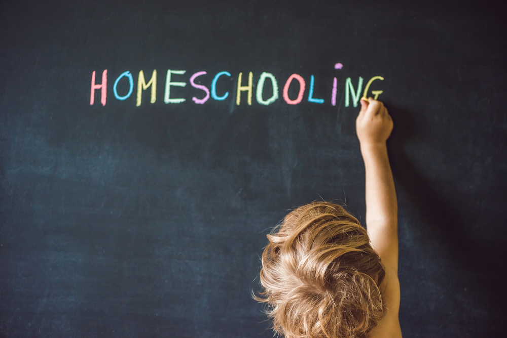 Homeschooling: An Accelerated Christian Education Program