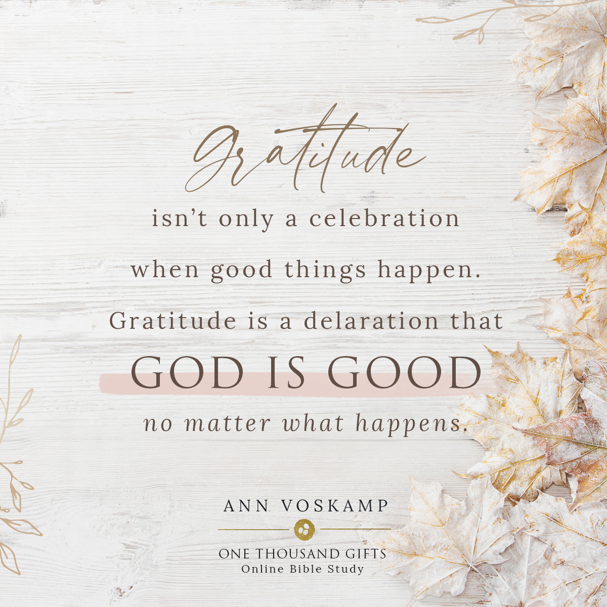 One Thousand Gifts OBS Week 1 — Attitude of Gratitude
