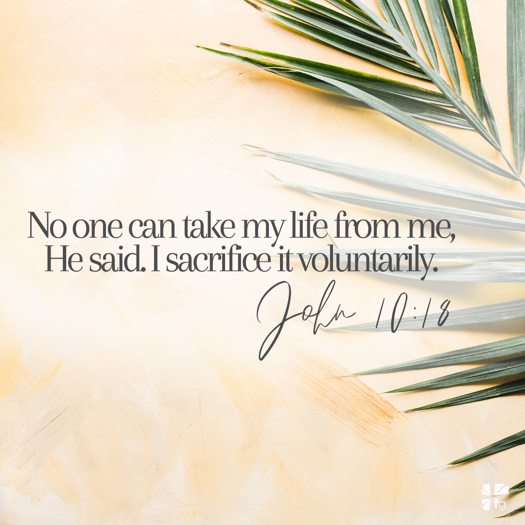 No one can take my life from me, He said. I sacrifice it voluntarily. — John 10:18