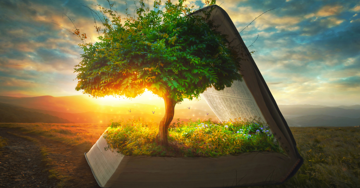 tree growing out of Bible at sunrise