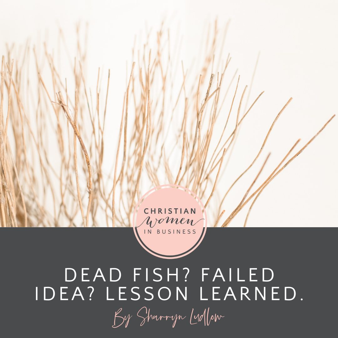 Dead fish? Failed Idea? Lesson learned. – Christian Women in Business