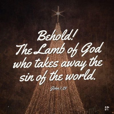 "Behold! The Lamb of God who takes away the sin of the world." John 1:29