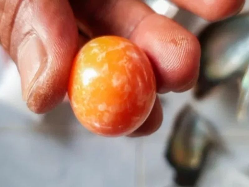 Struggling Fisherman Accidentally Discovers Rare Melo Pearl Worth $320,000 | God TV