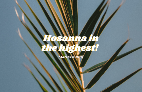 Hosanna in the highest!