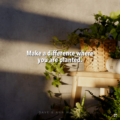 Make a difference where you are planted.