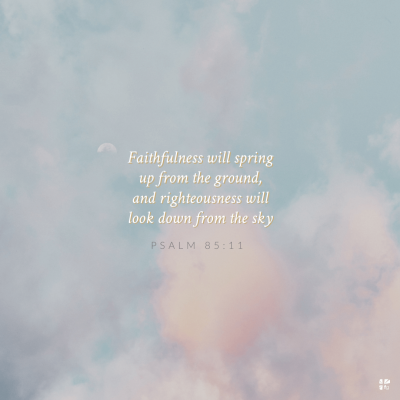 Faithfulness will spring up from the ground, and righteousness will look down from the sky. Psalm 85:11