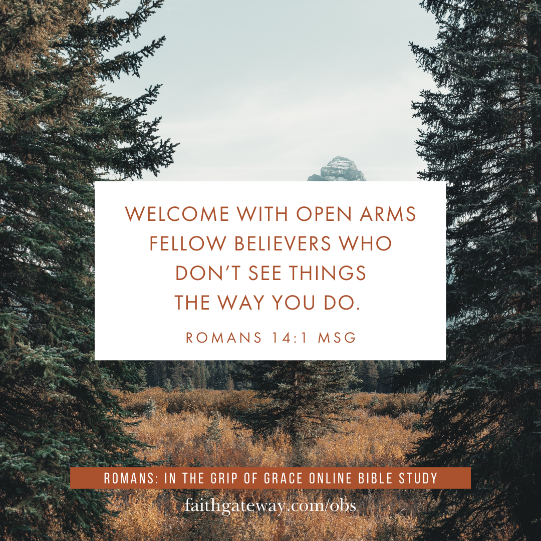 Romans Online Bible Study Week Six — The Fellowship We Find