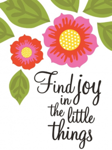 Find Joy In A Few Small Things