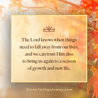 The Lord knows when things need to fall away from our lives, and we can trust Him also to bring us again to a season of growth and new life.