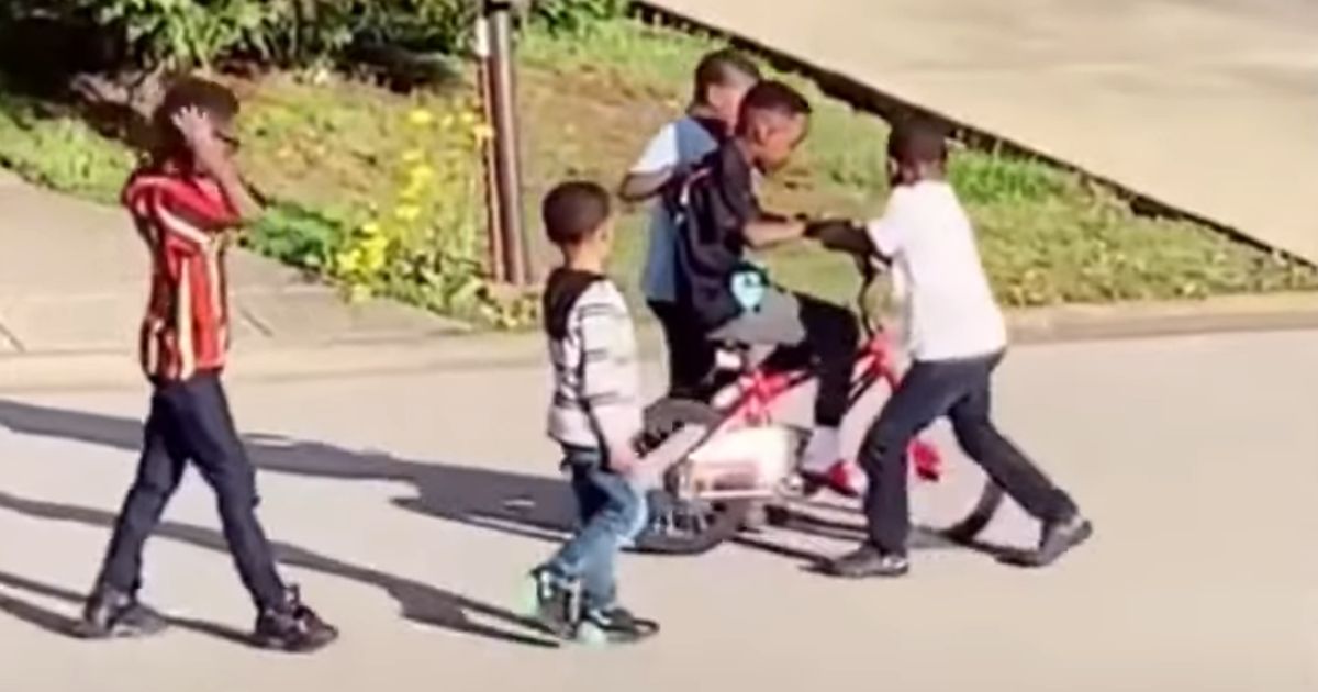 Neighborhood Kids Teach Little Boy How To Ride A Bike